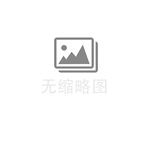 合作项目二